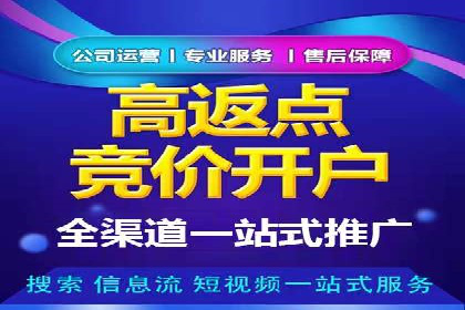 SEM广告投放的创意与执行：成功案例剖析