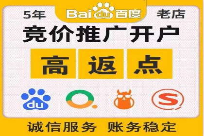 SEM广告投放策略：成功案例解析